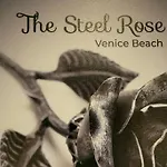Venice Beach The Steel Rose Compound